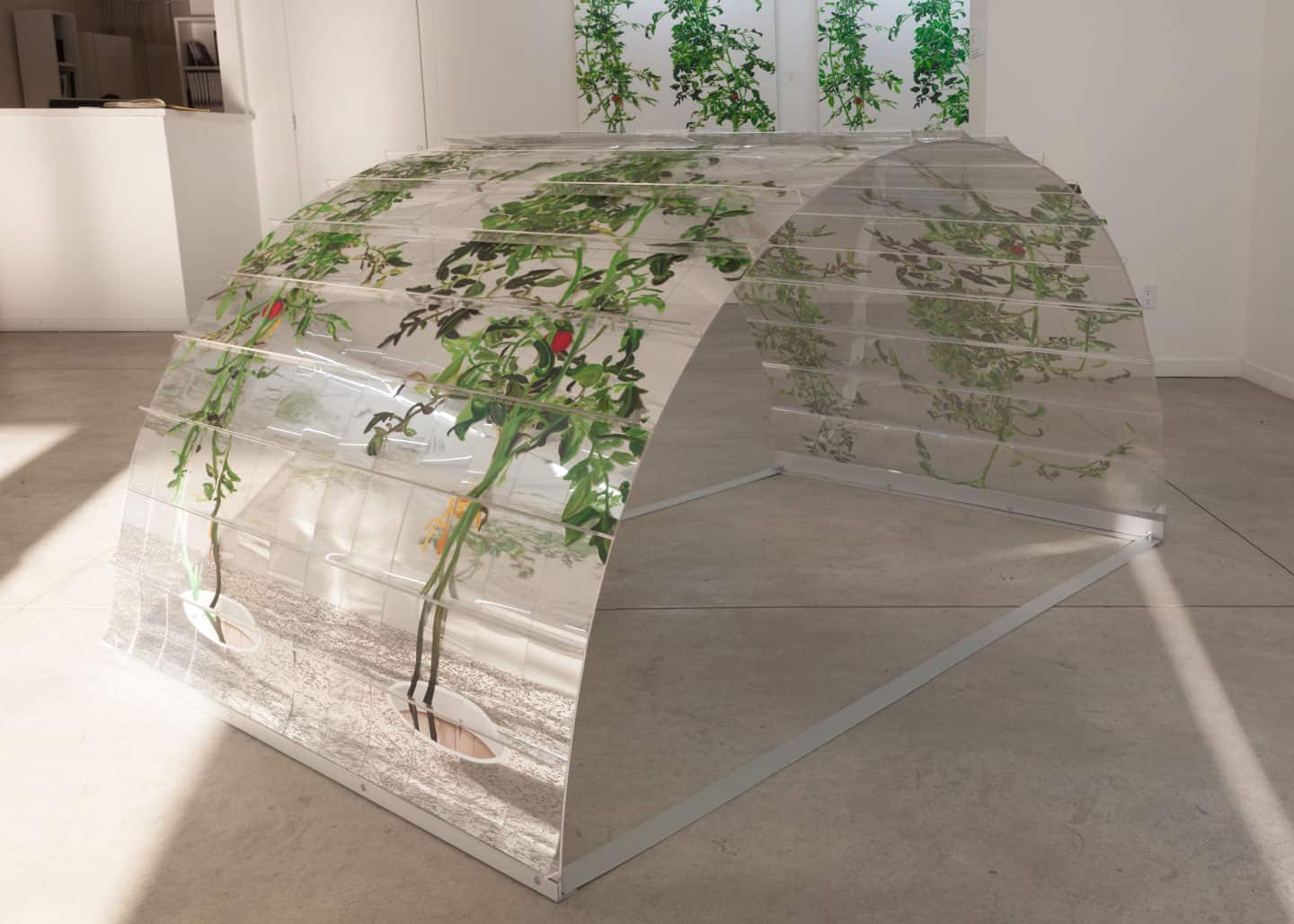 Alex Fischer,  1, 7 and 6000 evening light, O'Born Contemporary 